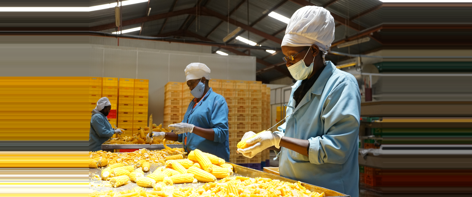 Njoro Canning Factory