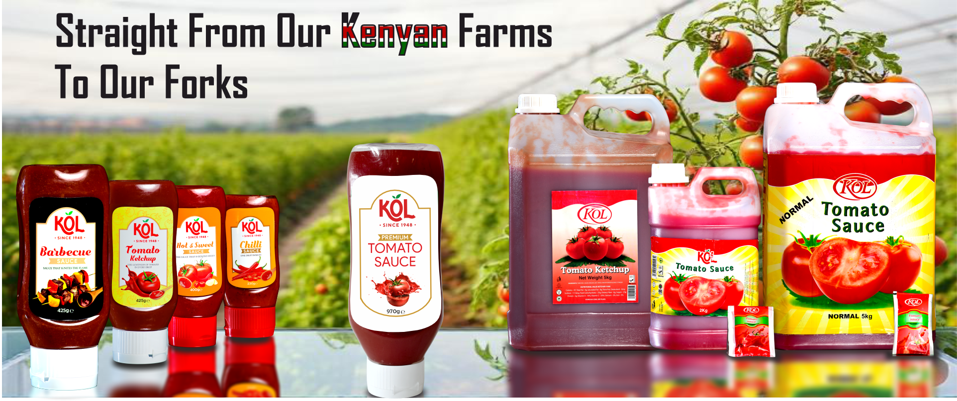  From Farm to Can: The Story Behind Njoro Canning Factory’s Fresh Taste